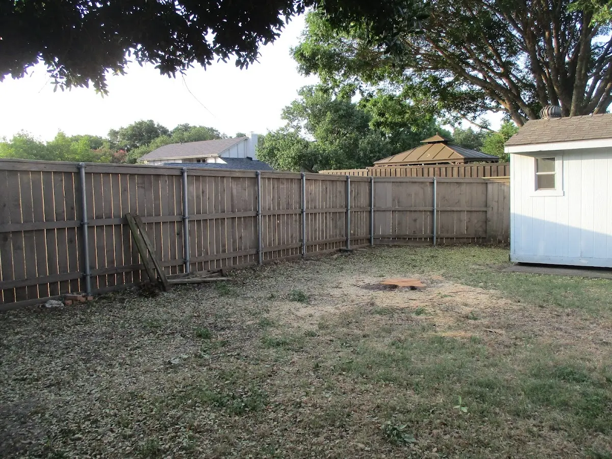 Cleared yard after professional tree removal in National Park